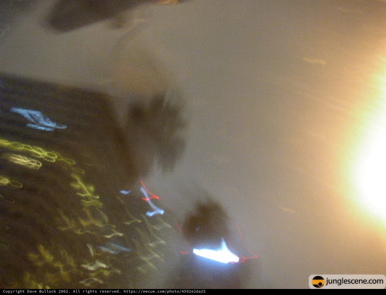Blurred Flare Building in the City