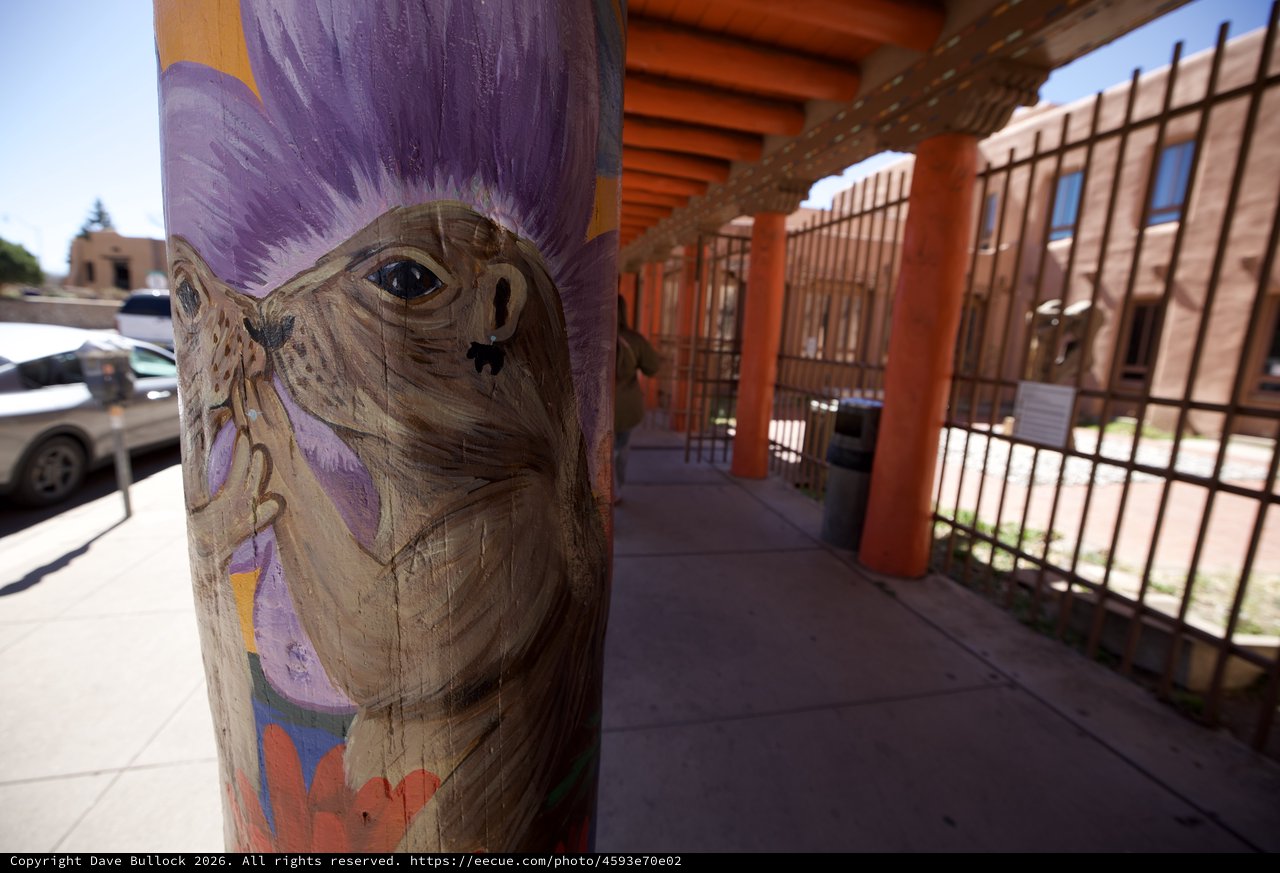 Painted Wooden Post with Purple-Haired Character at Adobe Portal