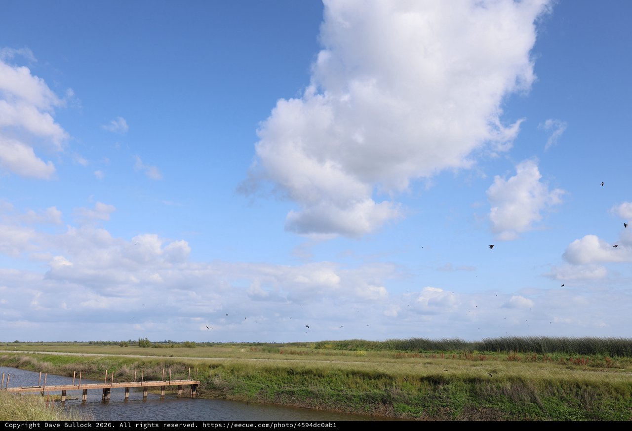 Wooden Pier at Yolo Bypass Wetlands Under Cloudy Sky