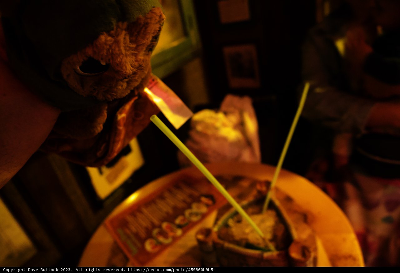 A Thirsty Stuffed Companion at Disneyland