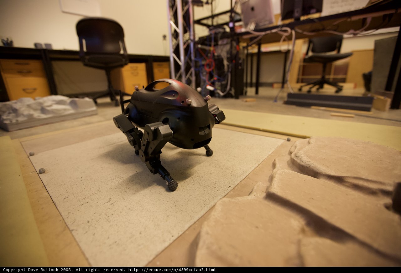Robot Relaxing Amongst Plywood Flooring