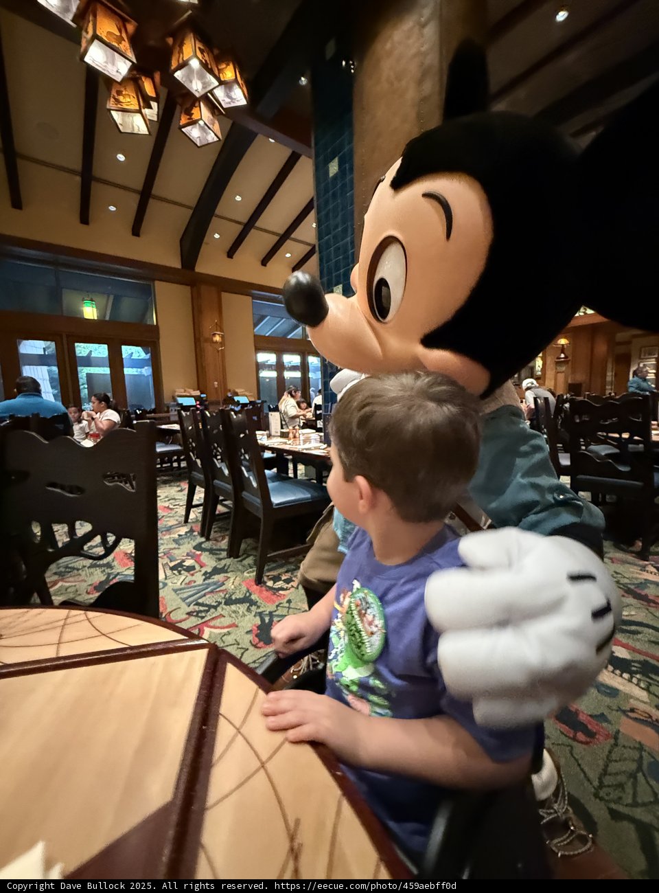 Magical Moments at Disneyland