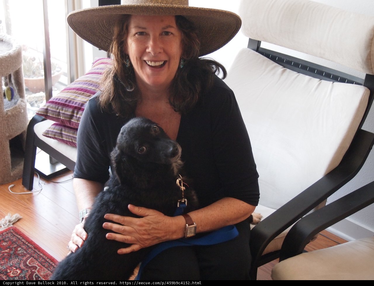 Fashionable Lady with her Furry Hounds