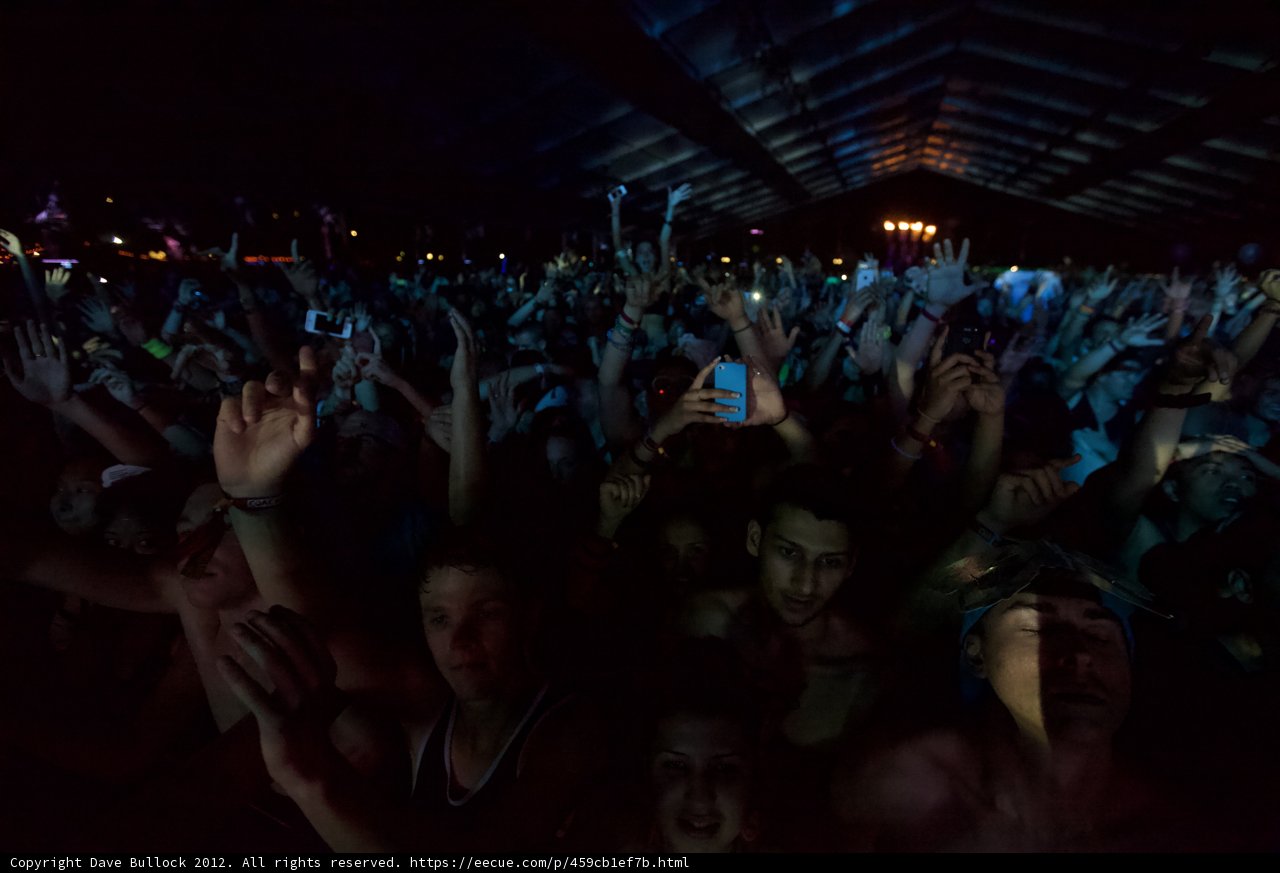 Coachella Crowd Goes Wild