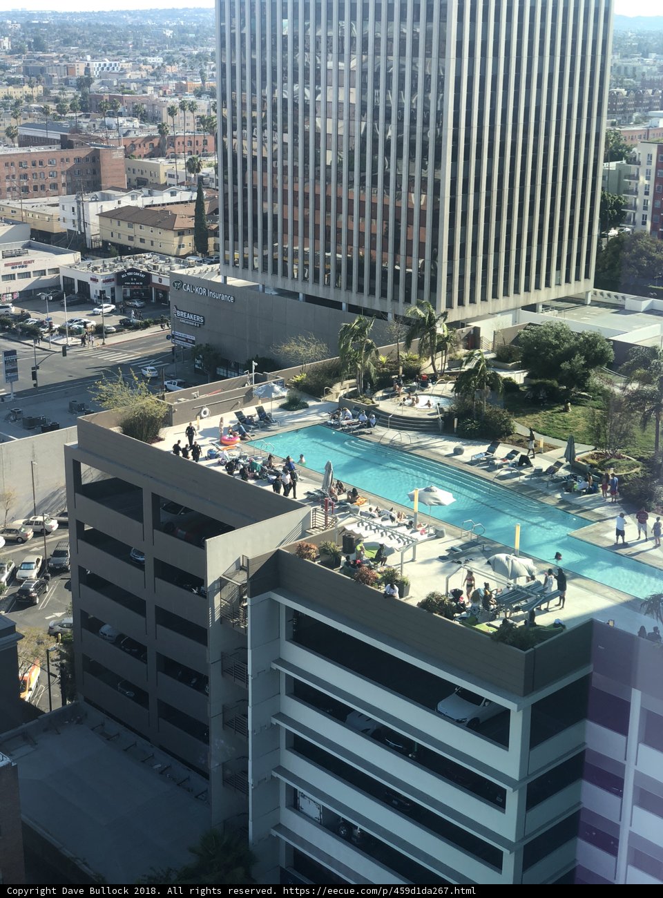 The Oasis in the City