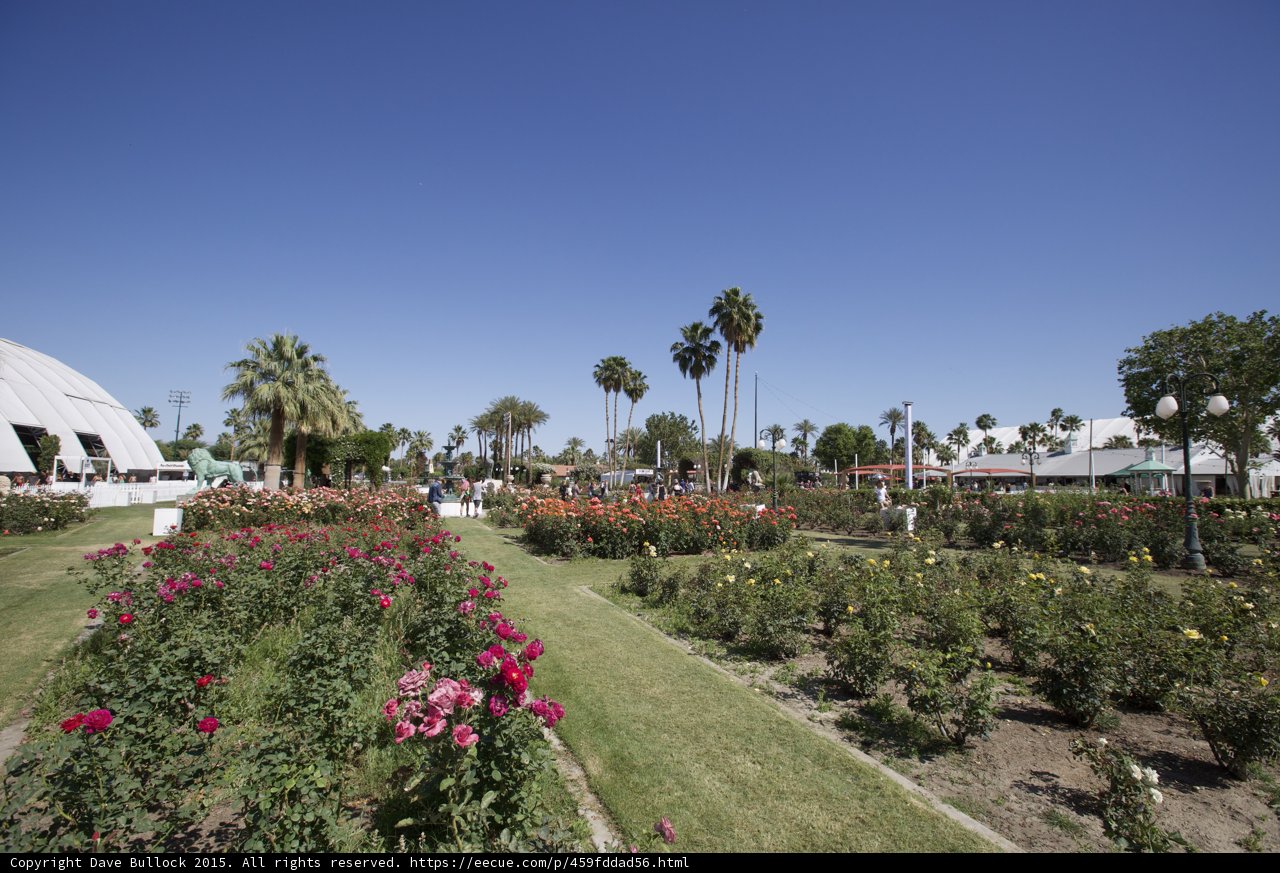 Rose Garden Oasis