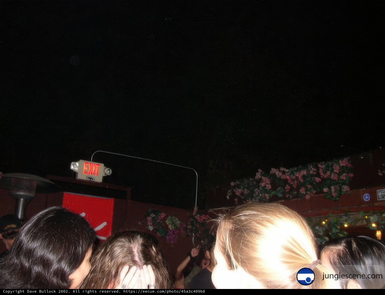 Nighttime Crowd at Urban Concert