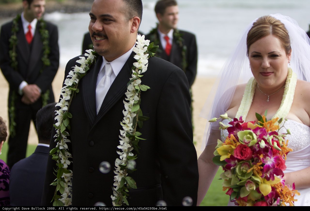Beautiful Flowers for a Beautiful Bride