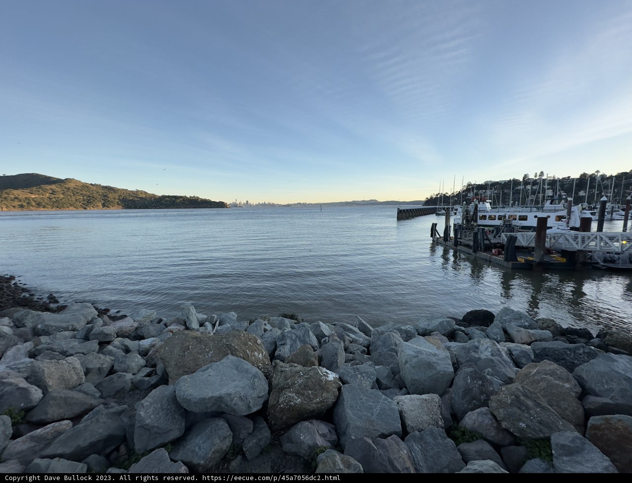 Serene Bayfront View