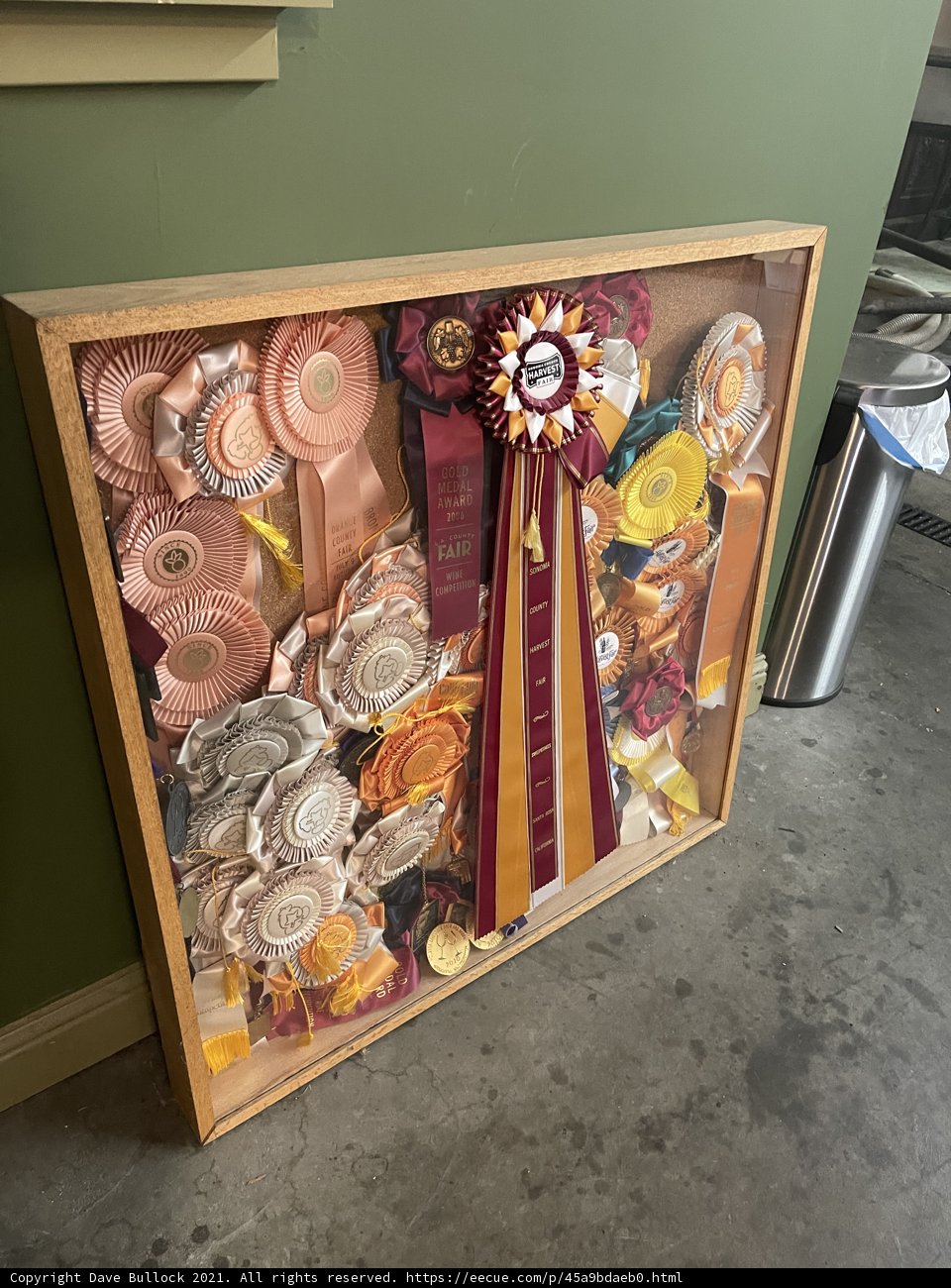 Award-Winning Collection