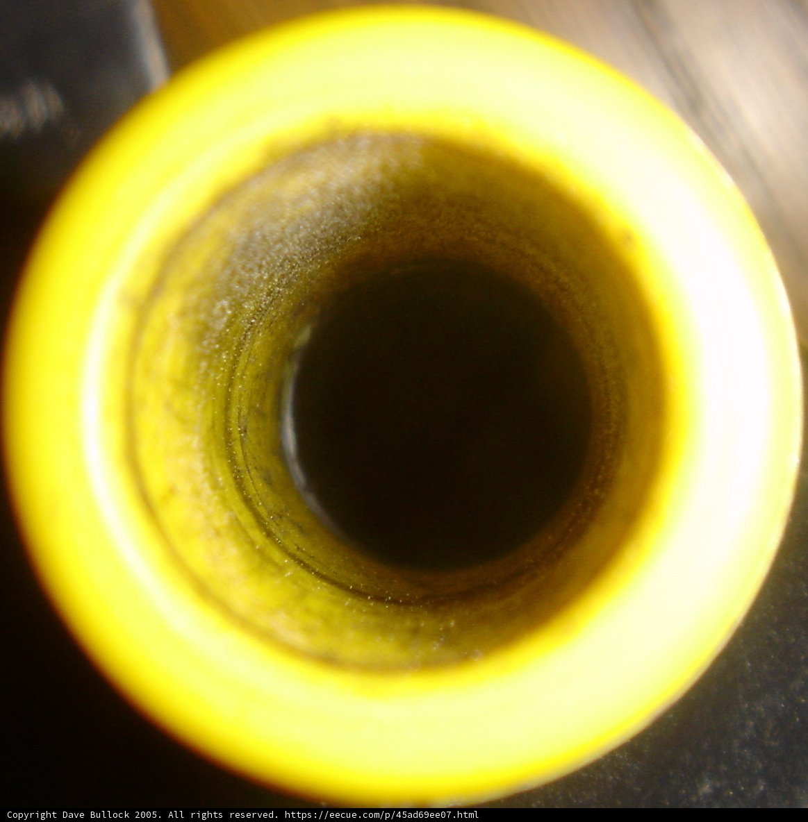 The Versatile Yellow Cup
