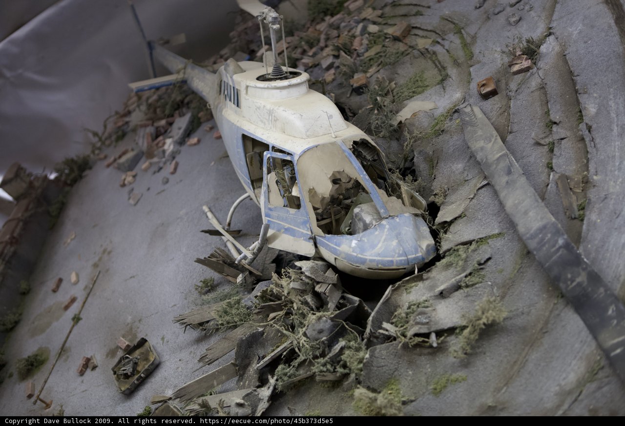 Grounded Bird