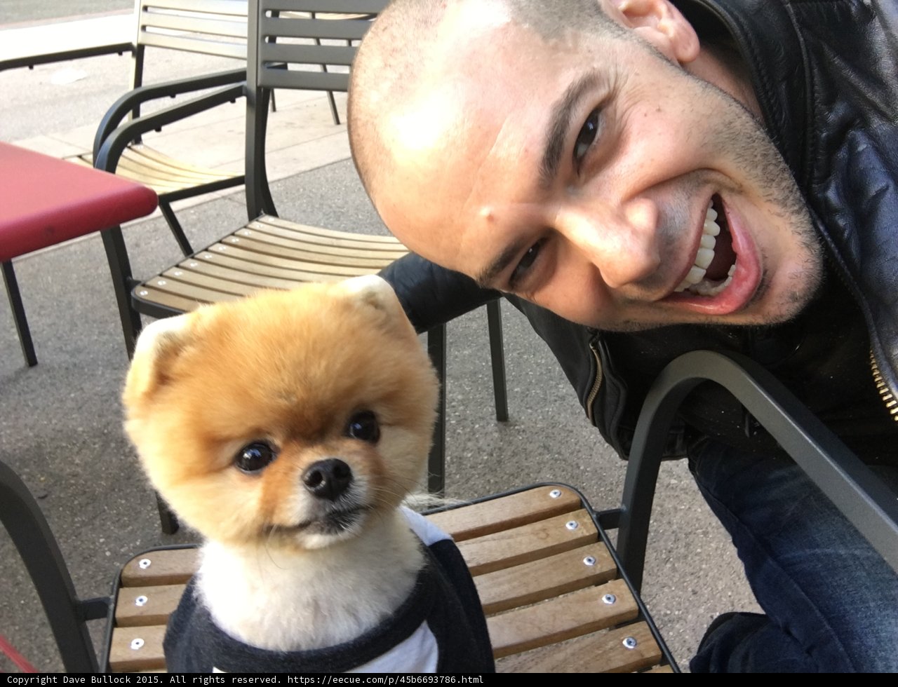 Meeting Celebrity Dog