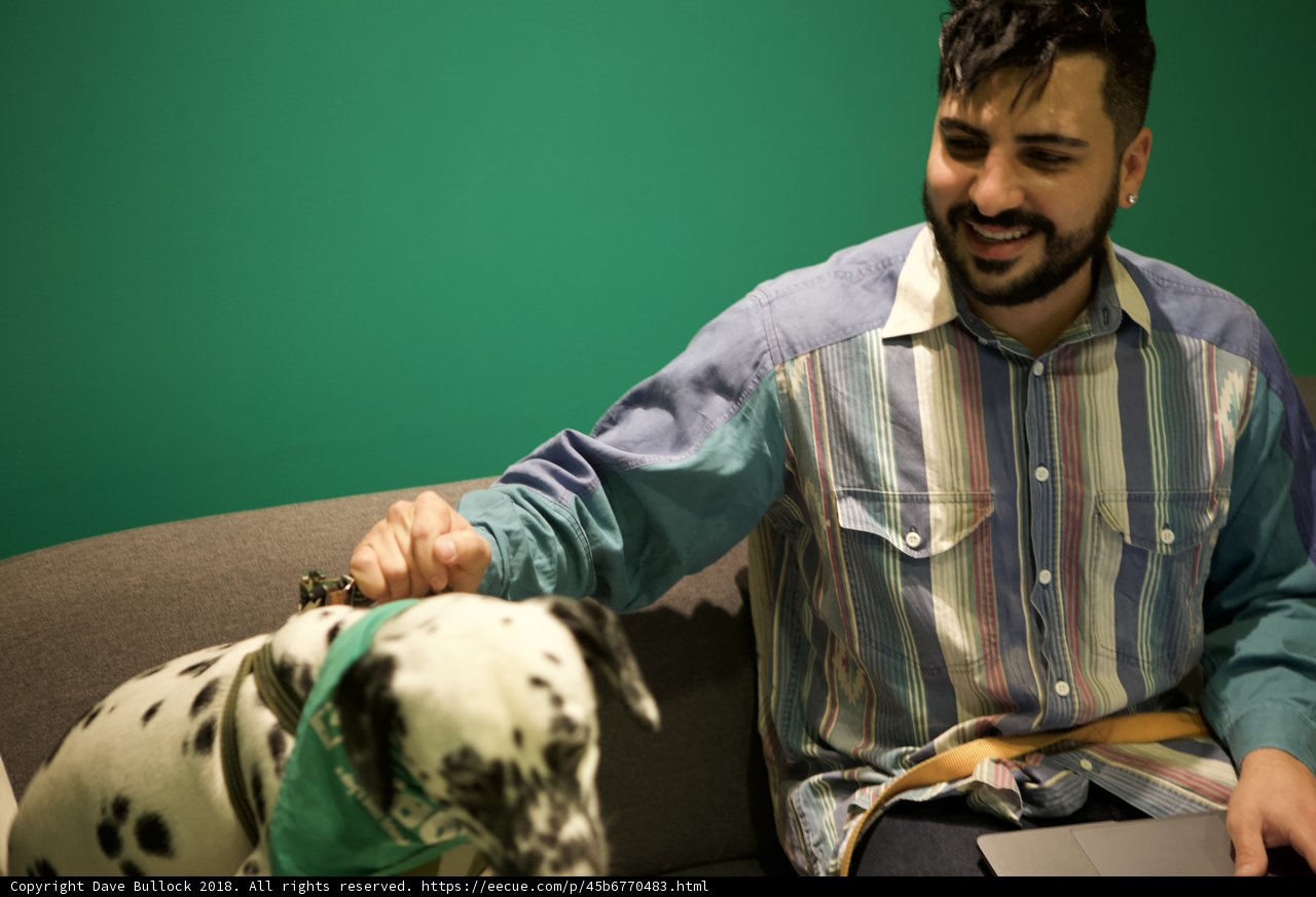Man's Best Friend on the Couch