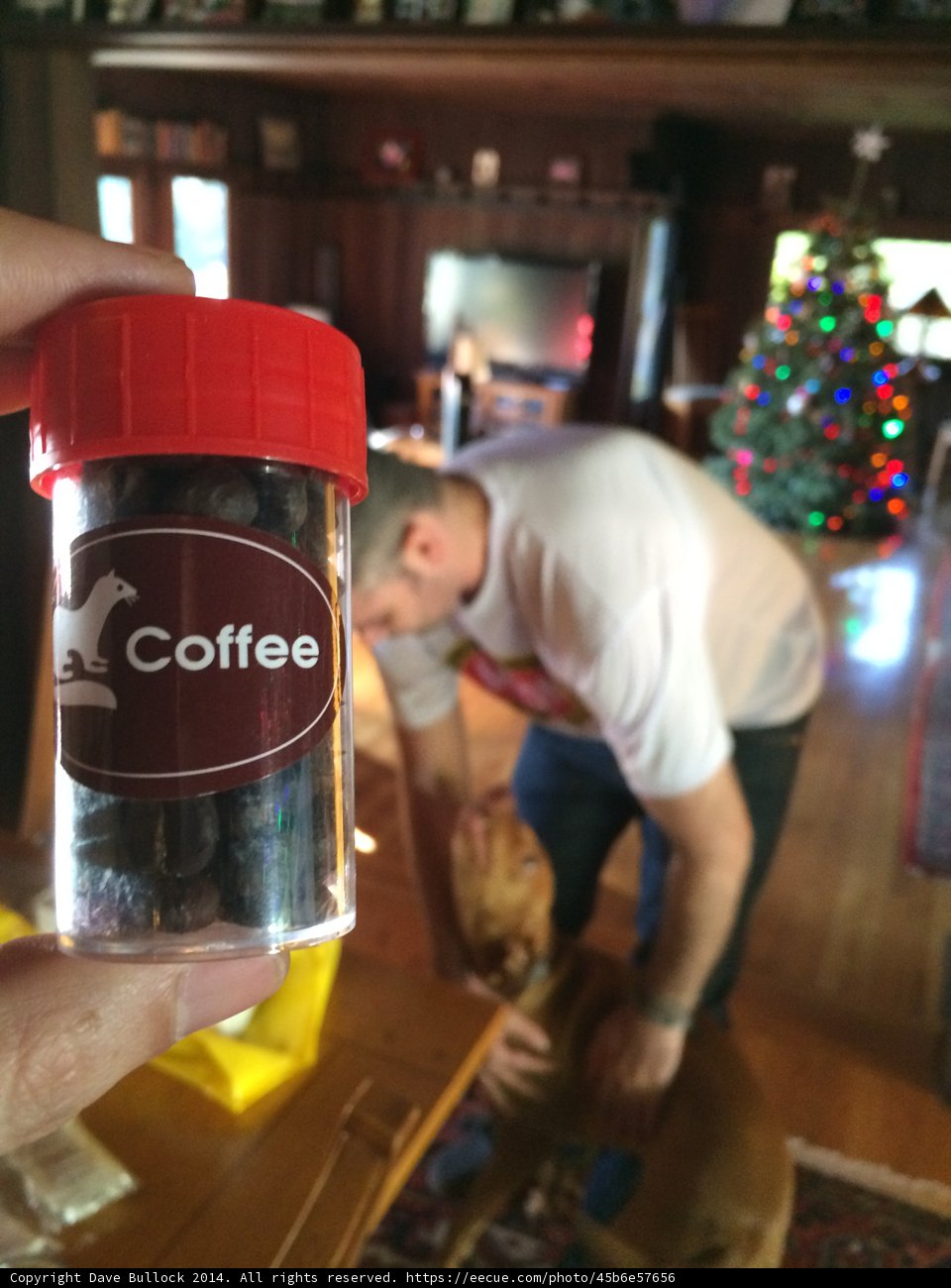 A Coffee Beans Companion