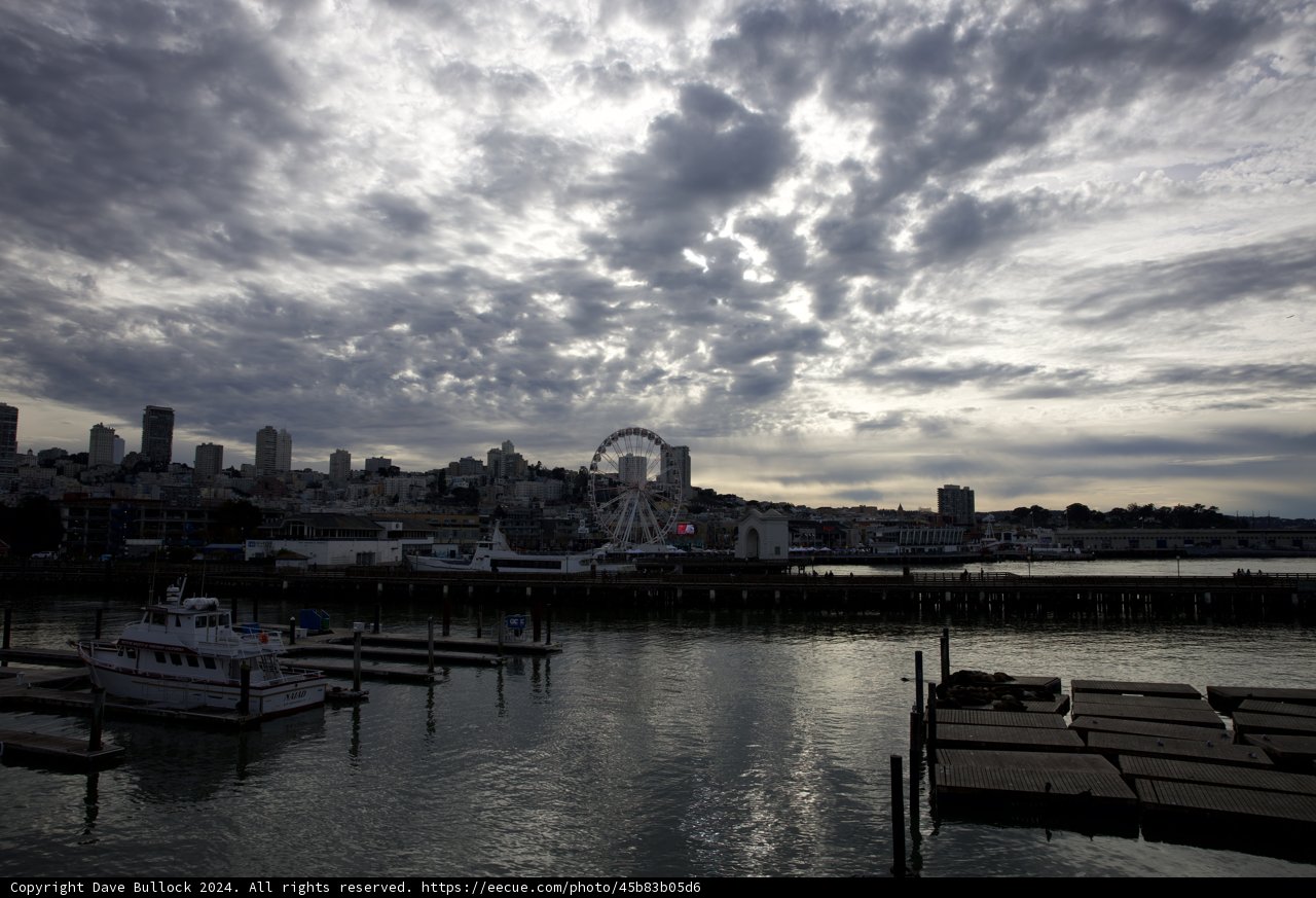 Tranquil Harbor - A Maritime Canvas