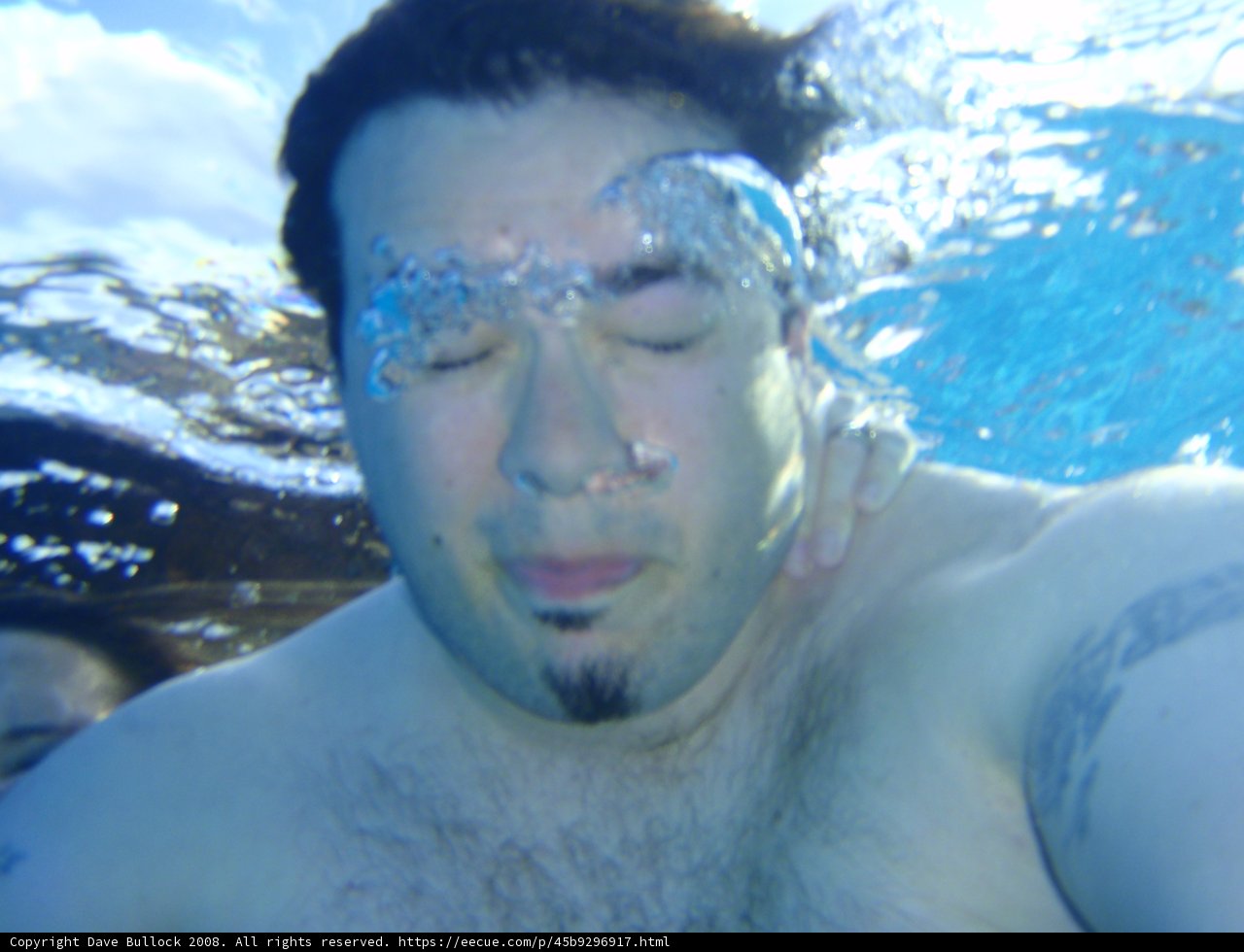 Submerged Serenity