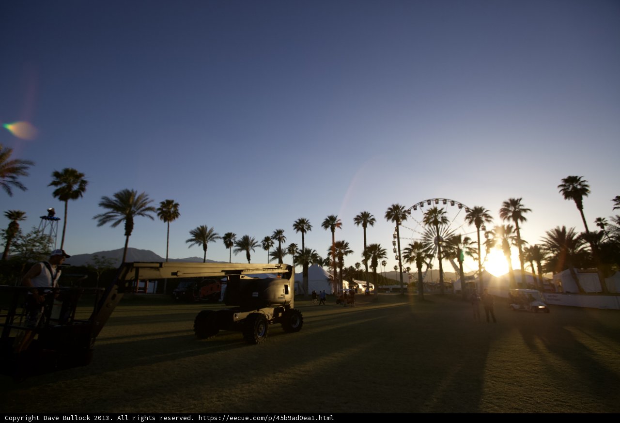 Silhouette of Palm Trees Against the Coachella Sunset