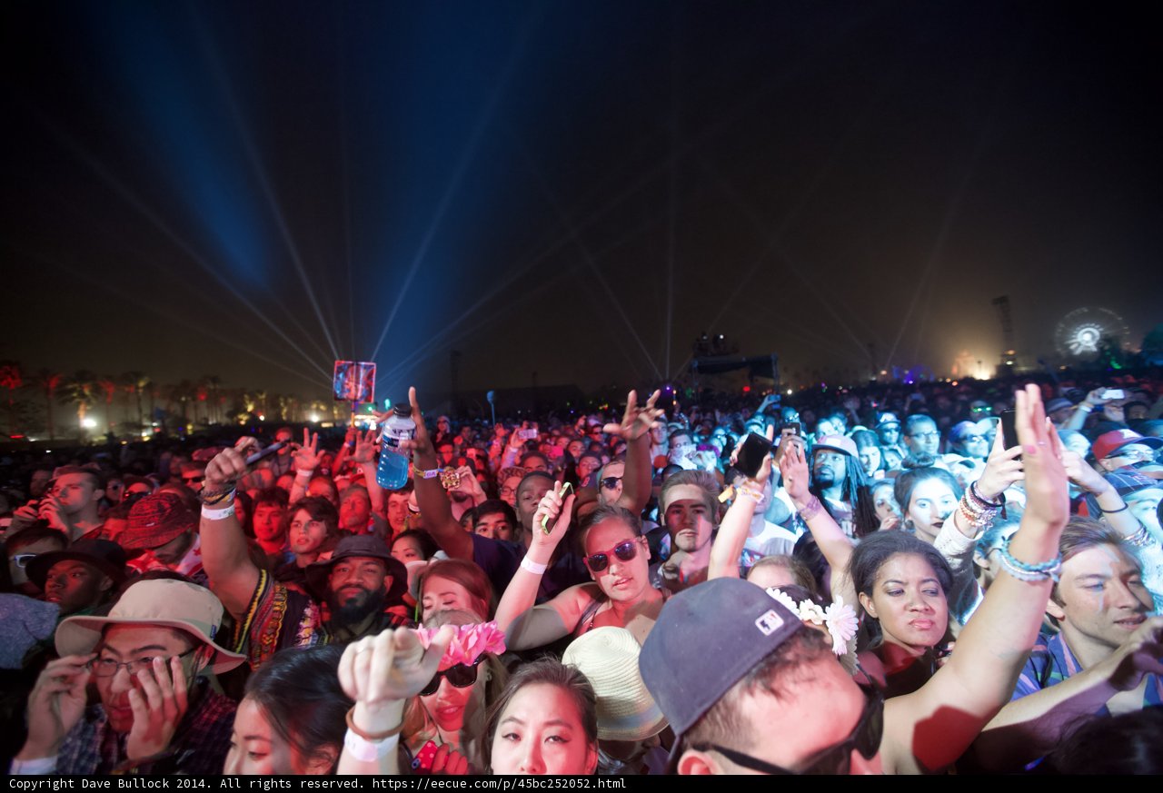 Party Under the Night Sky