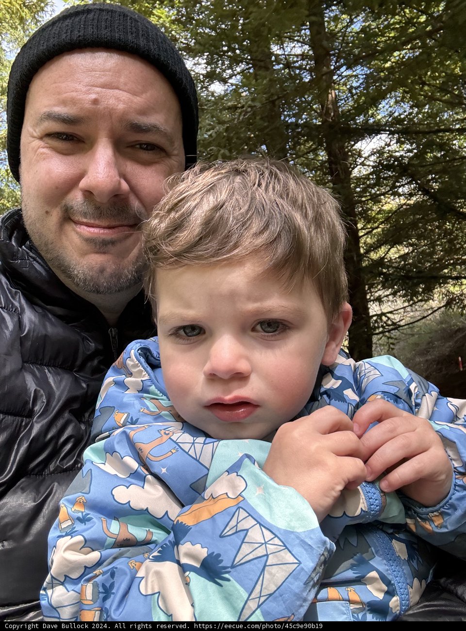 Woodland Wanderers