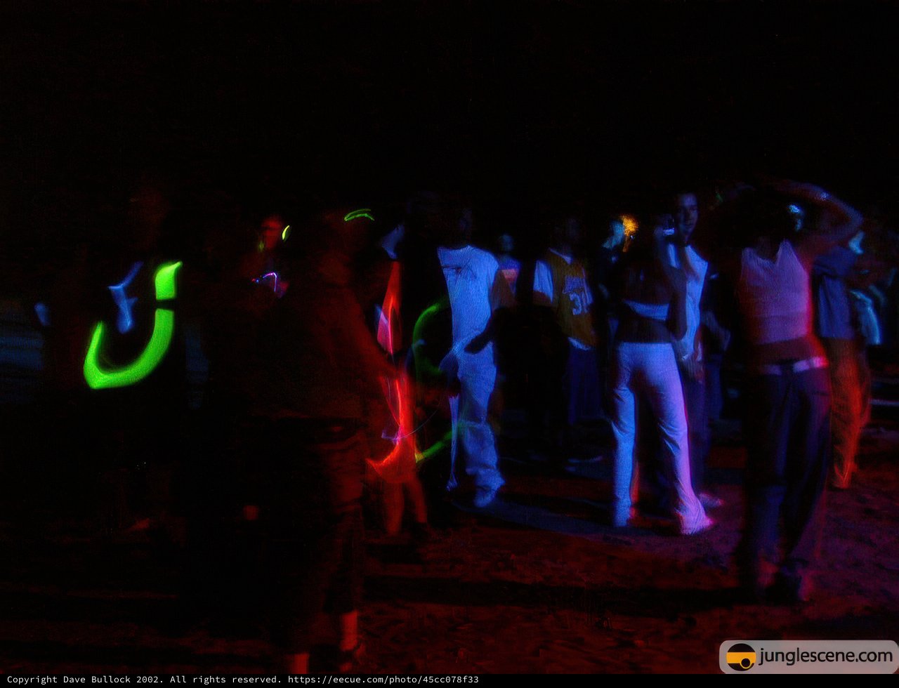 Disco Nightclub Gathering