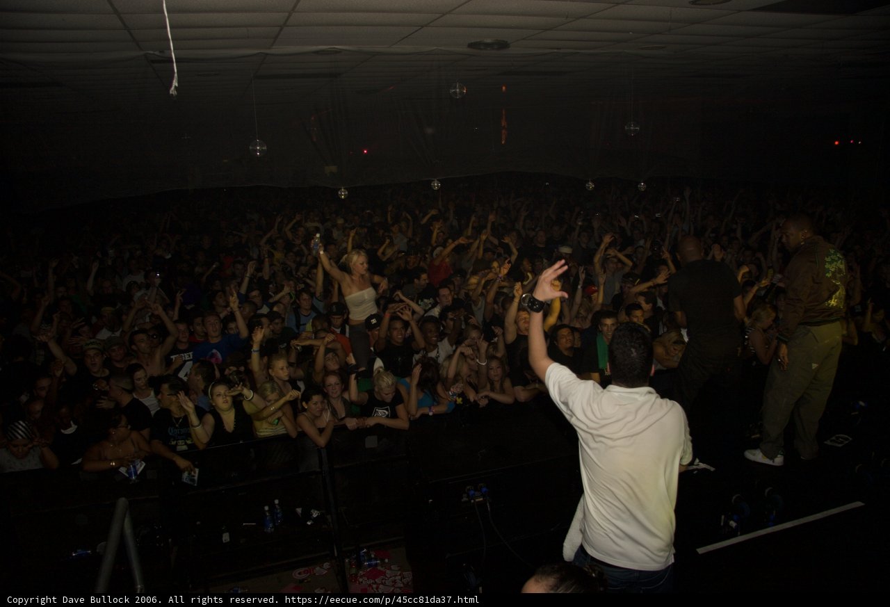 Euphoric Crowd at Rave Concert
