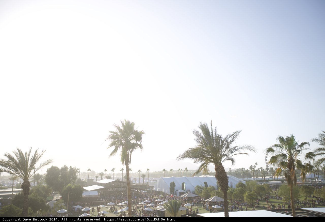 Summer Vibes at Coachella