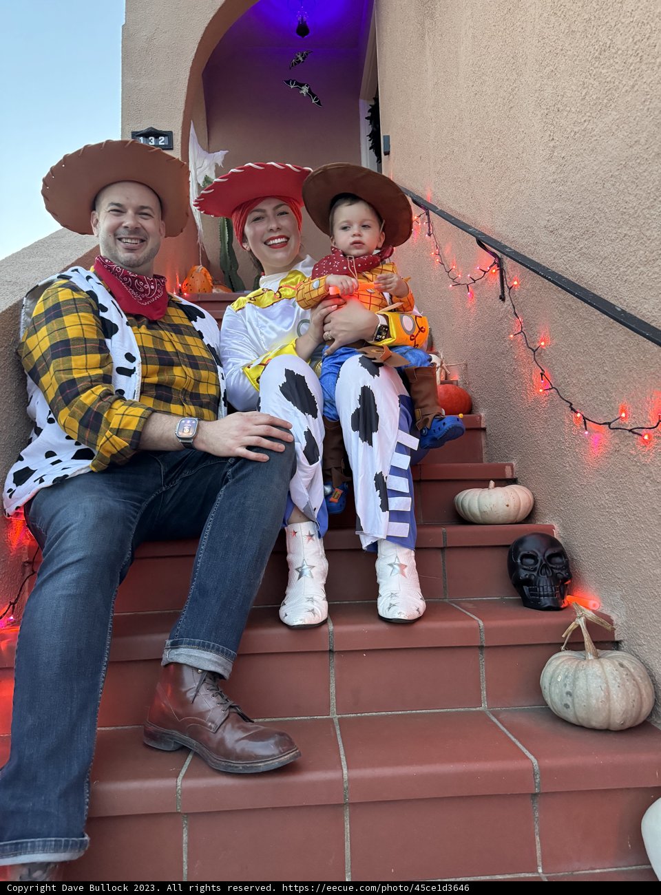 The Toy Story Adventure: Family Edition