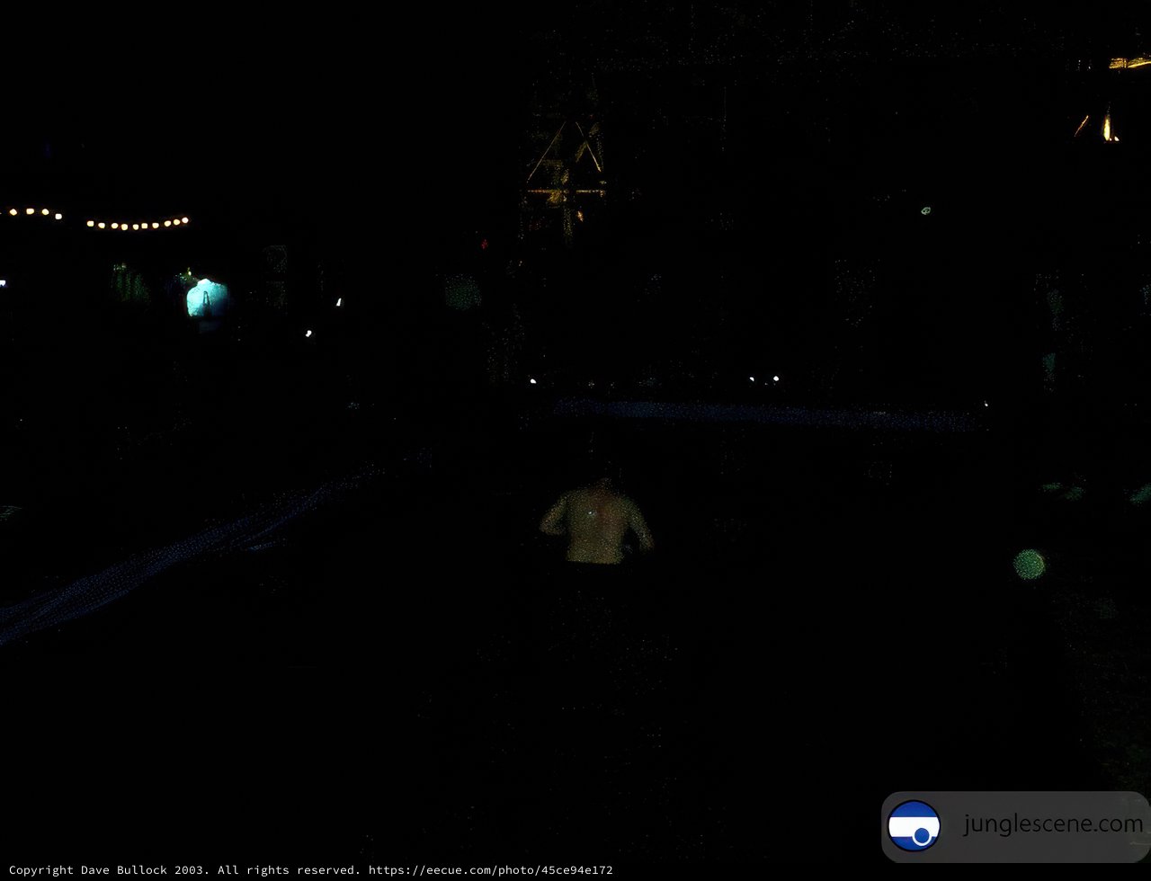 Night Stroll