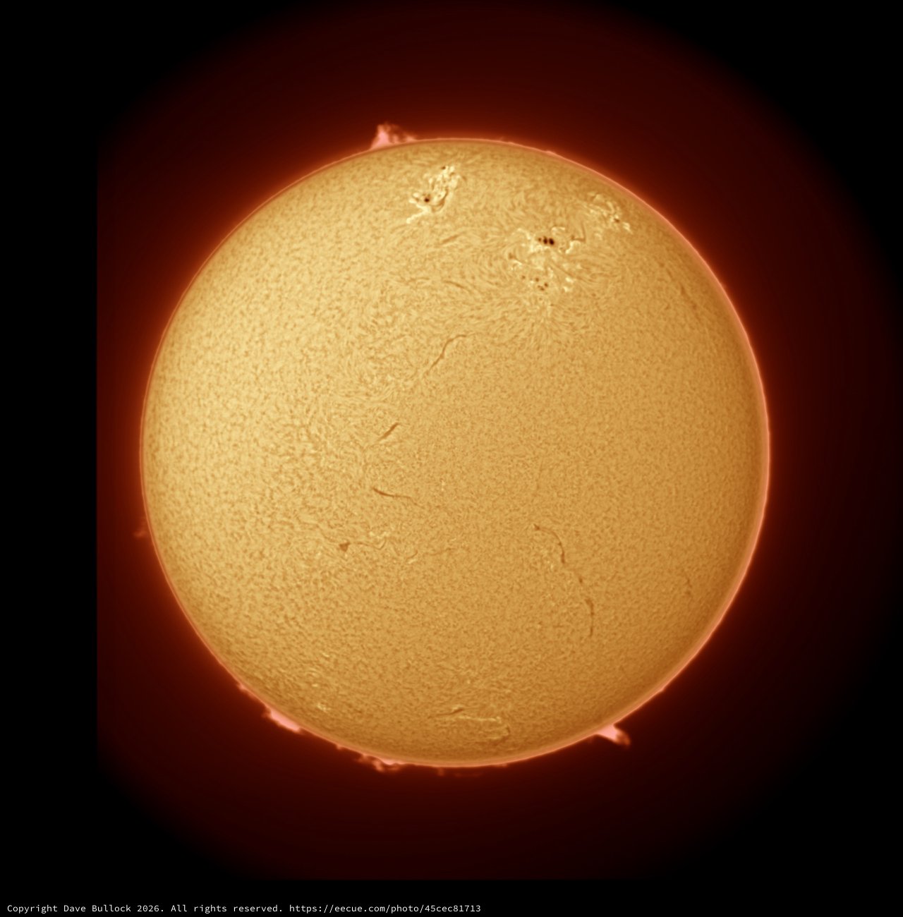 Solar Disc in Hydrogen-Alpha Light with Prominences