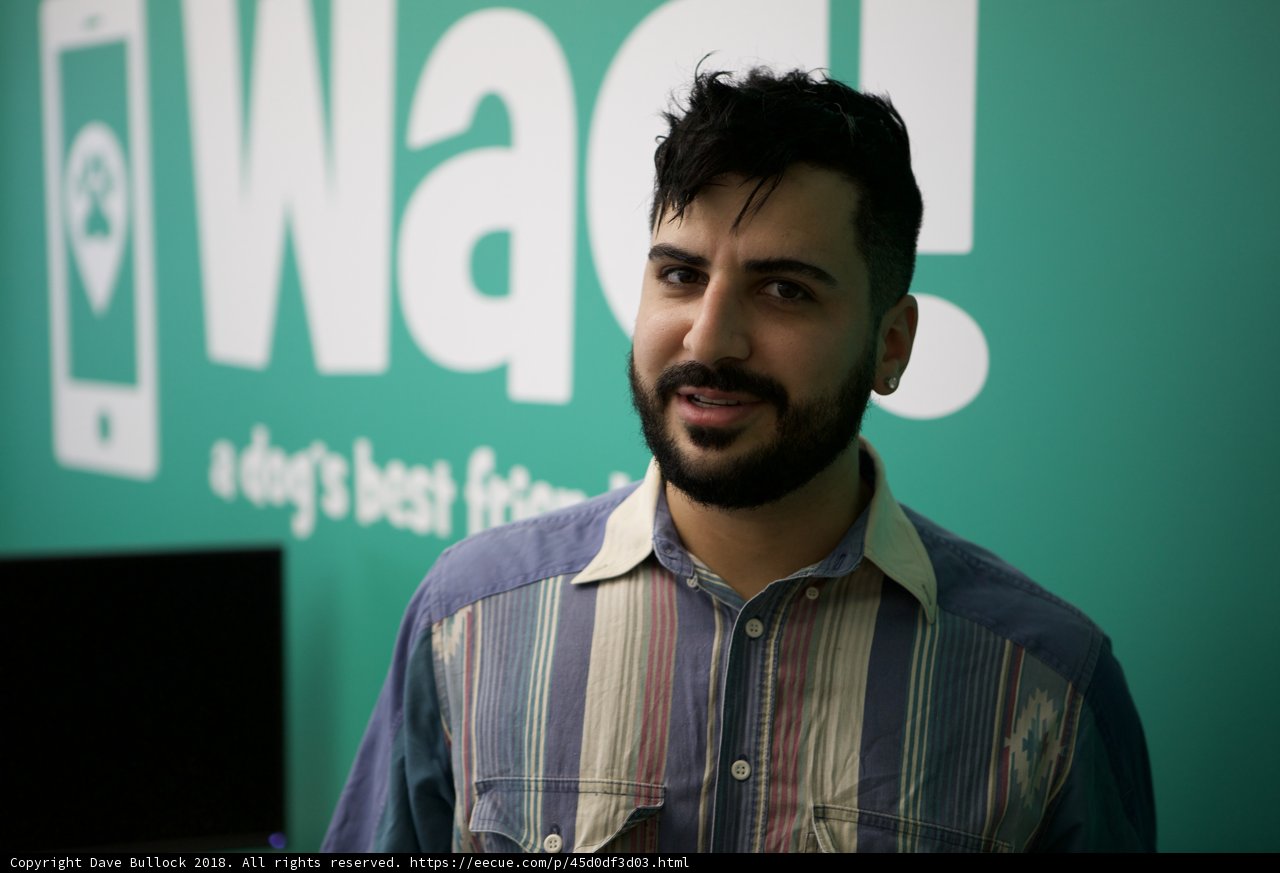 Striped-Shirted Man in Front of Wad Wall