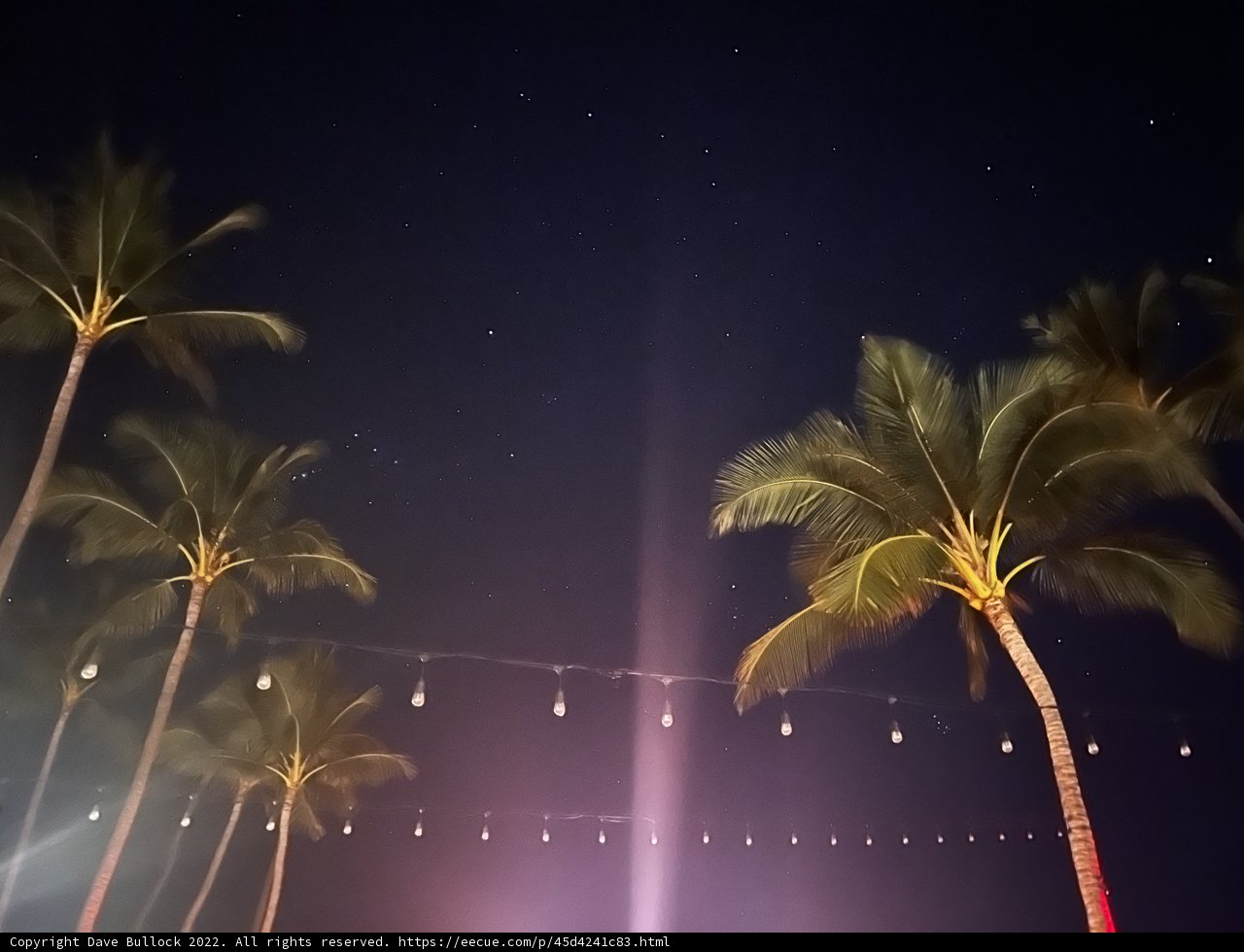 Tropical Paradise Nightscape