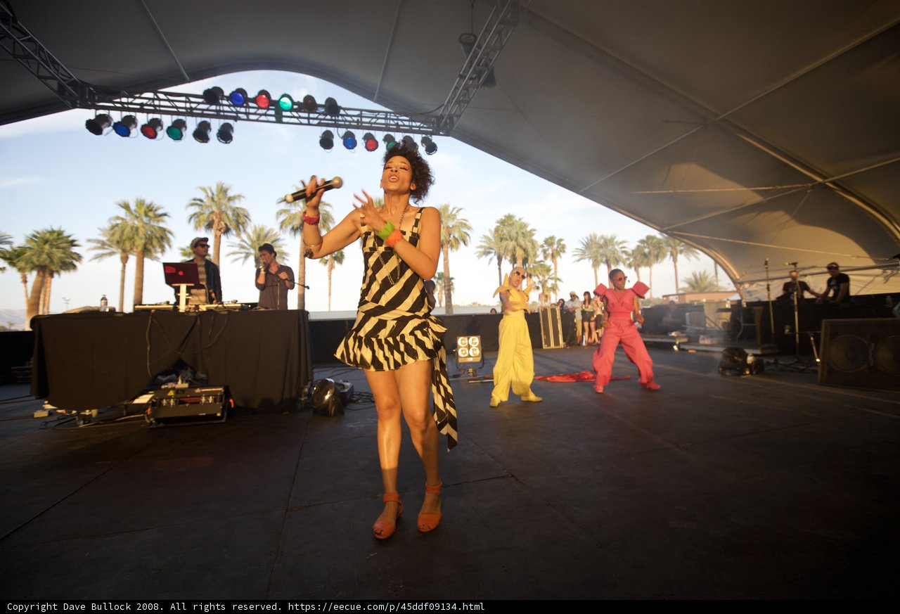 Yolandi Visser rocks Coachella stage in zebra print dress