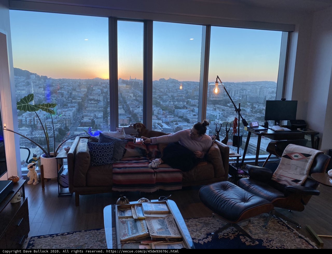 Cozy San Francisco Living Room