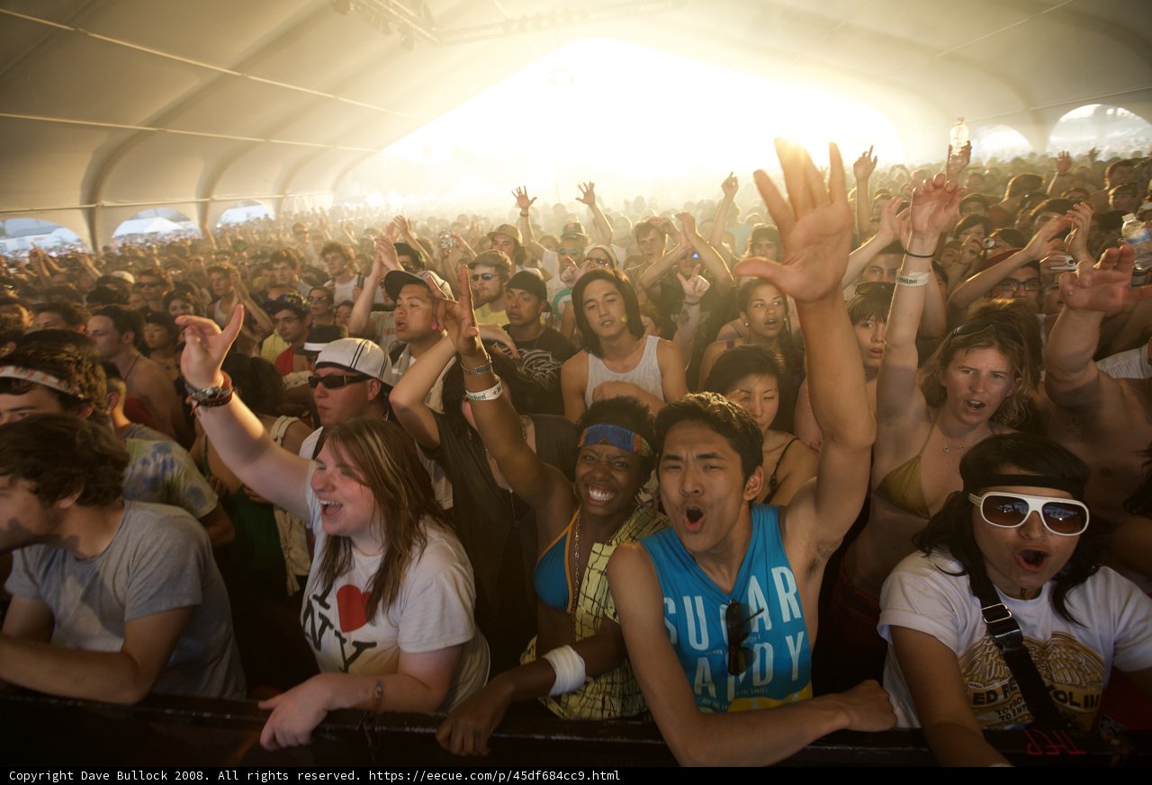Coachella 2008: Hands in the Air