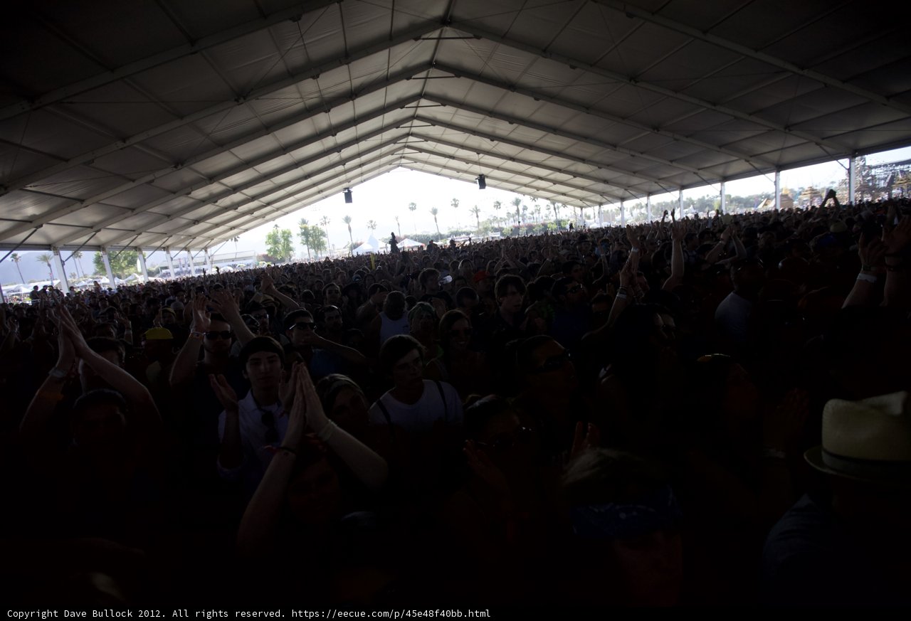 Coachella Crowd Goes Wild