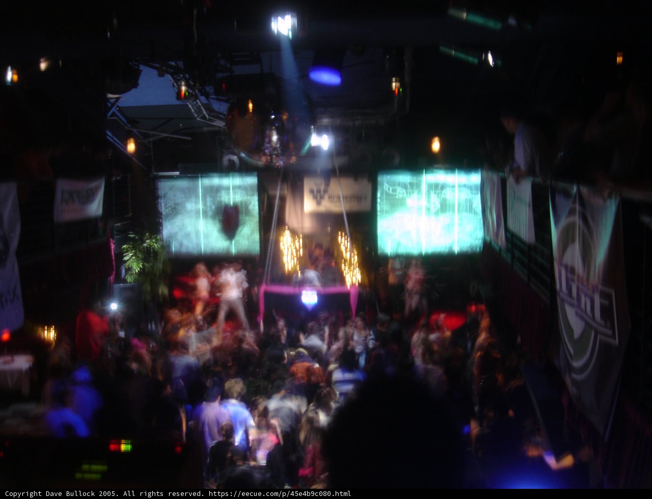 Nightclub Vibes