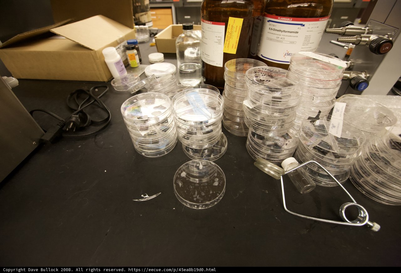 Lab Table Essentials