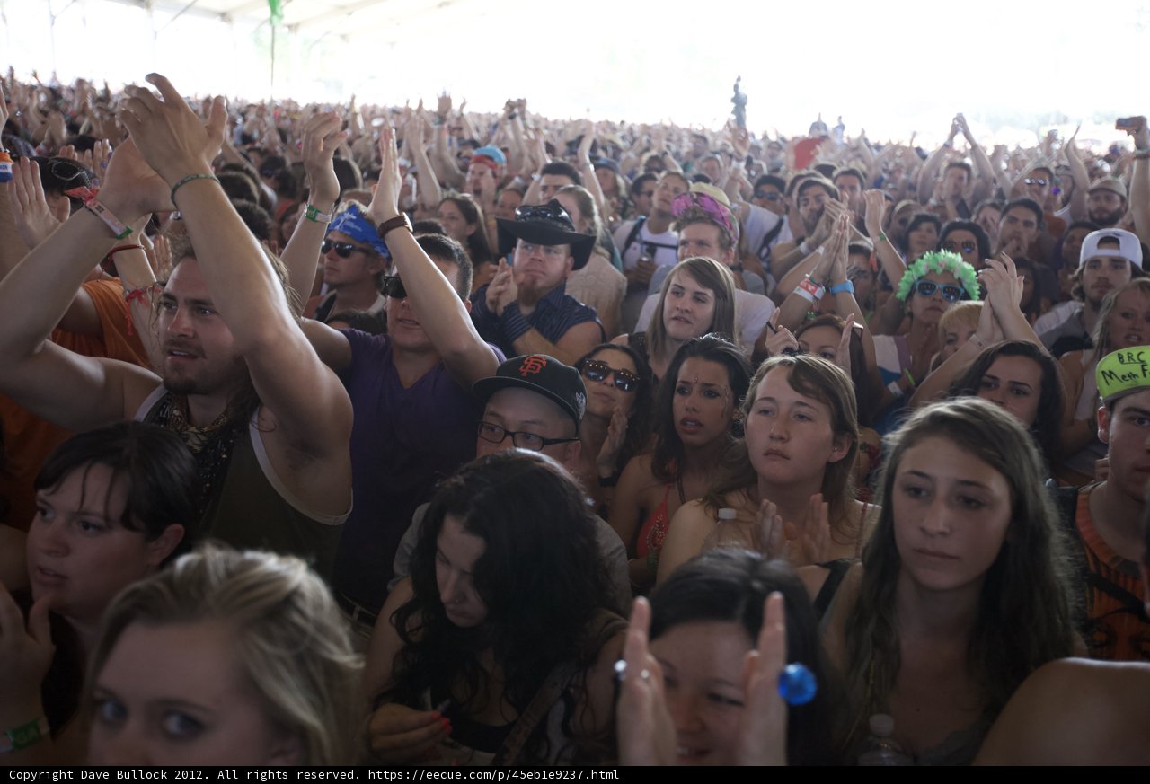 Hands Up at Coachella 2012