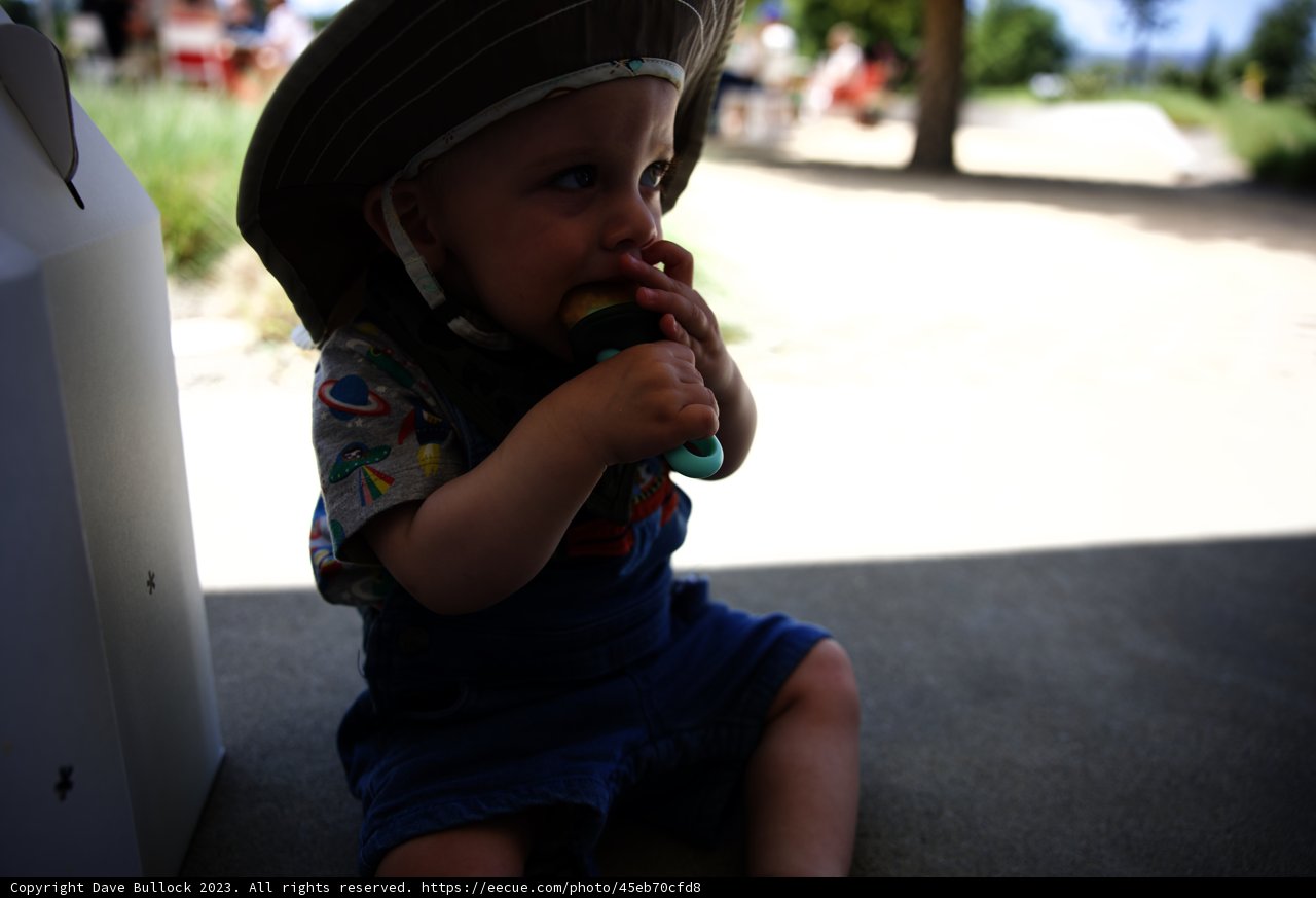 Baby's Banana Adventure