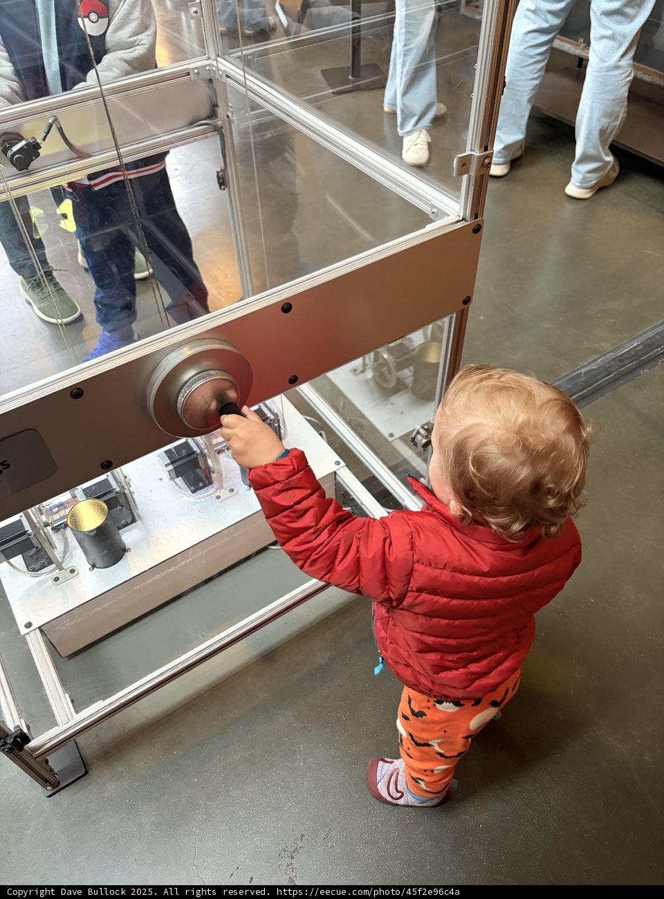 Curious Minds at Play