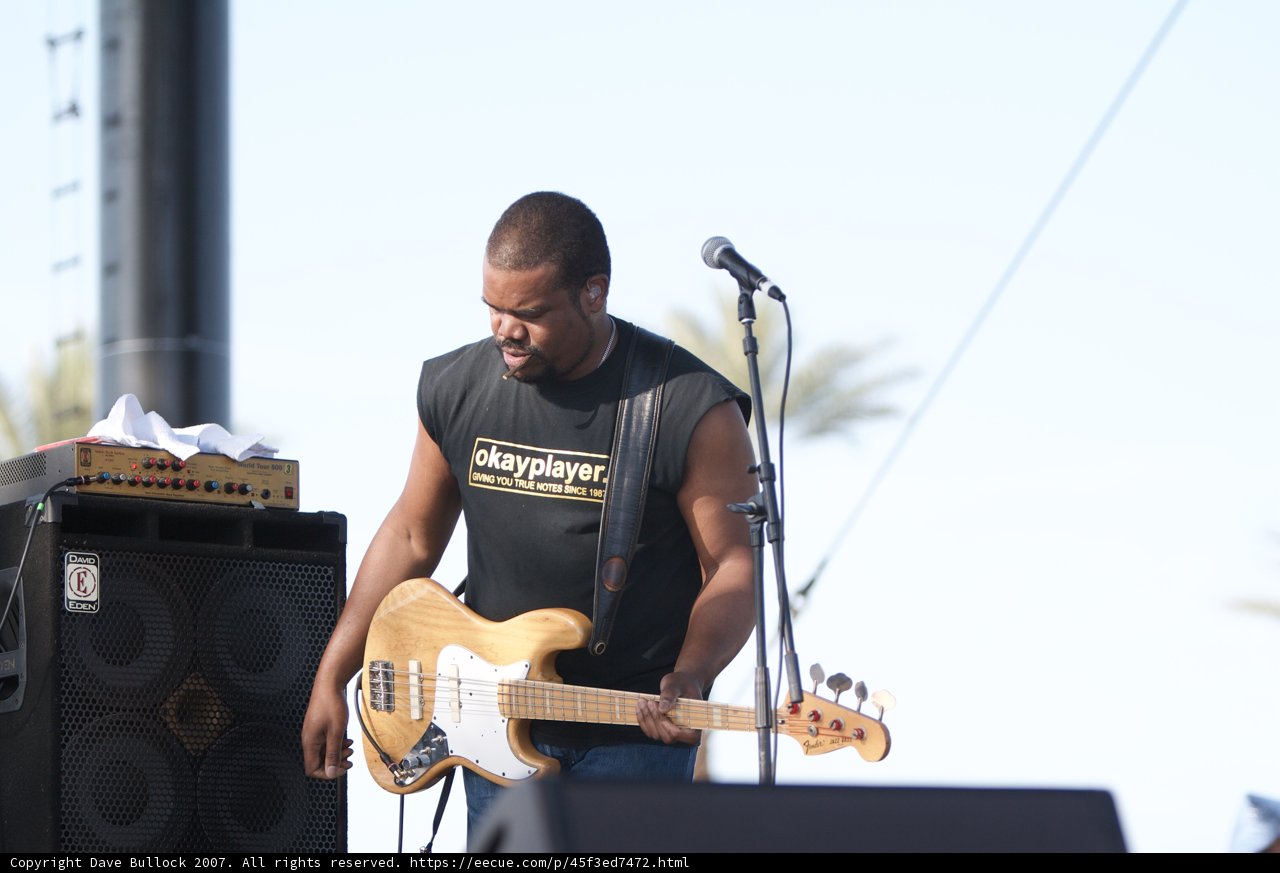 Bassist in the Limelight