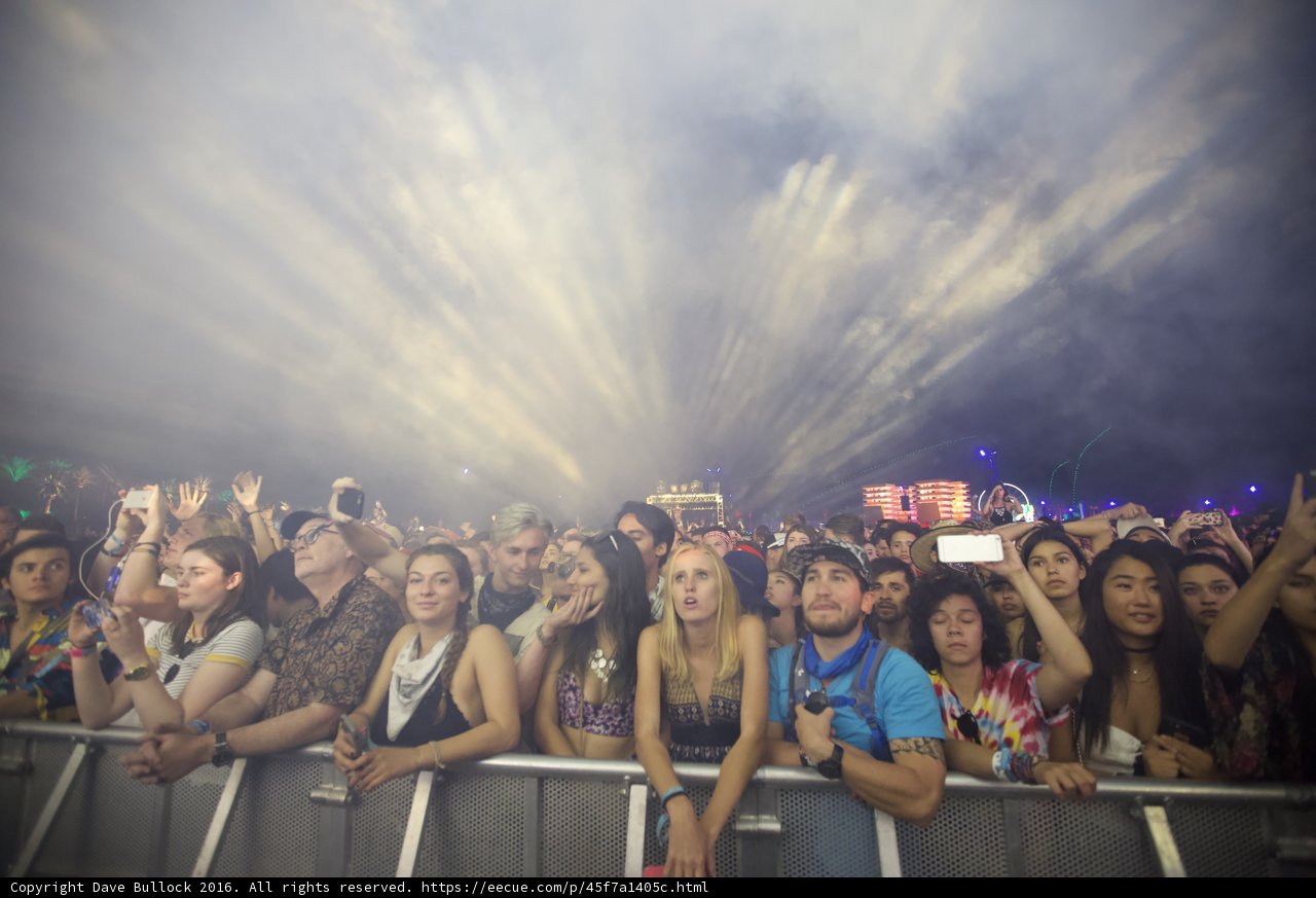 Music Festival Madness
