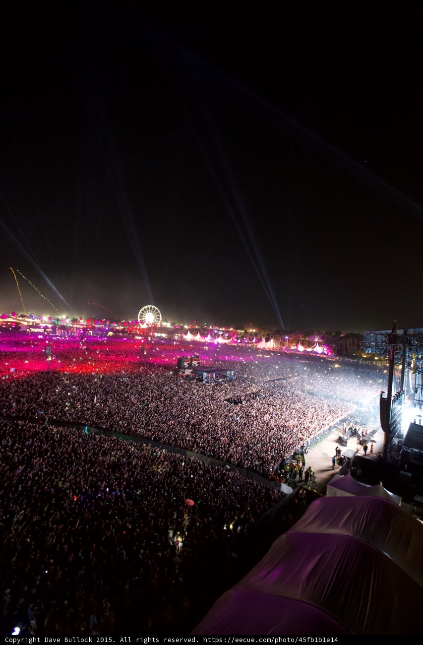 Lights of the Night: A Concert Crowd Captivated