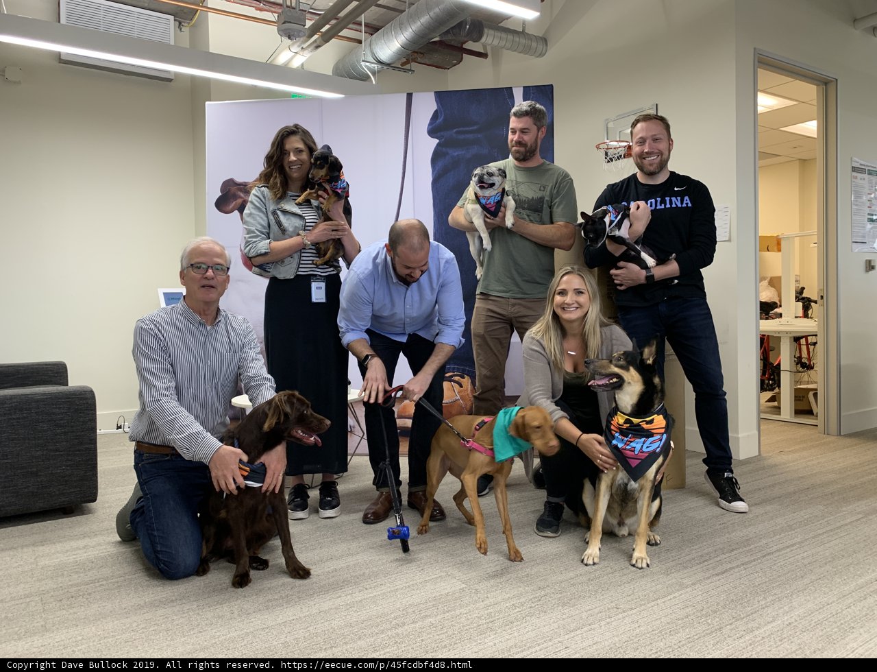 Furry Friends and their Favorite People