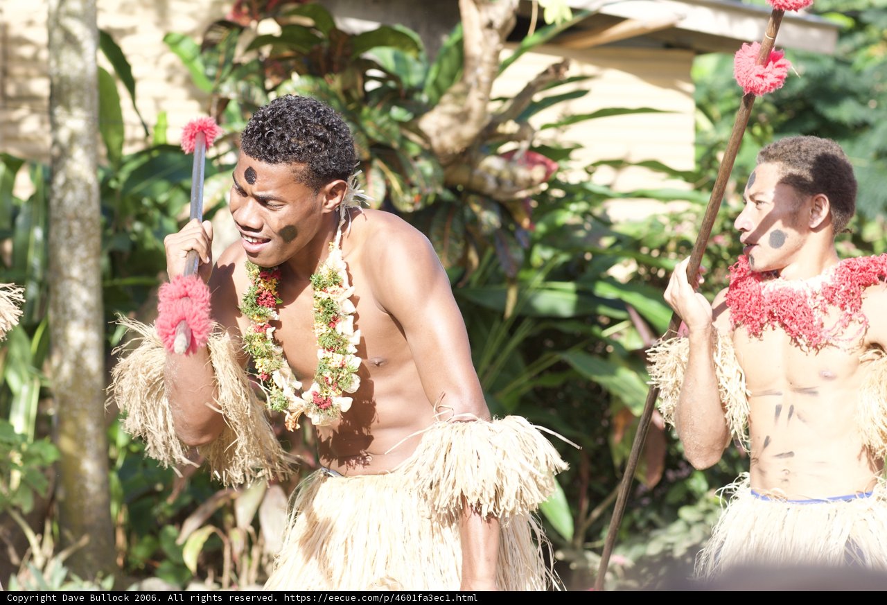 Polynesian Performance