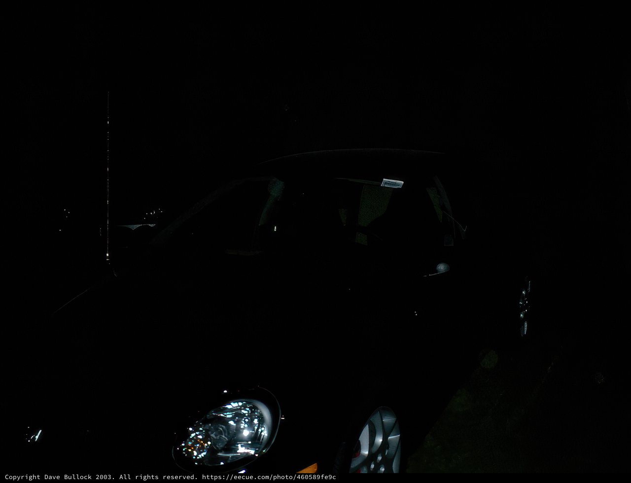 Midnight Cruiser