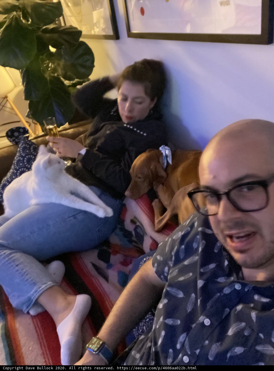 A Cozy Afternoon with Dave, Lori, and Their Furry Friend