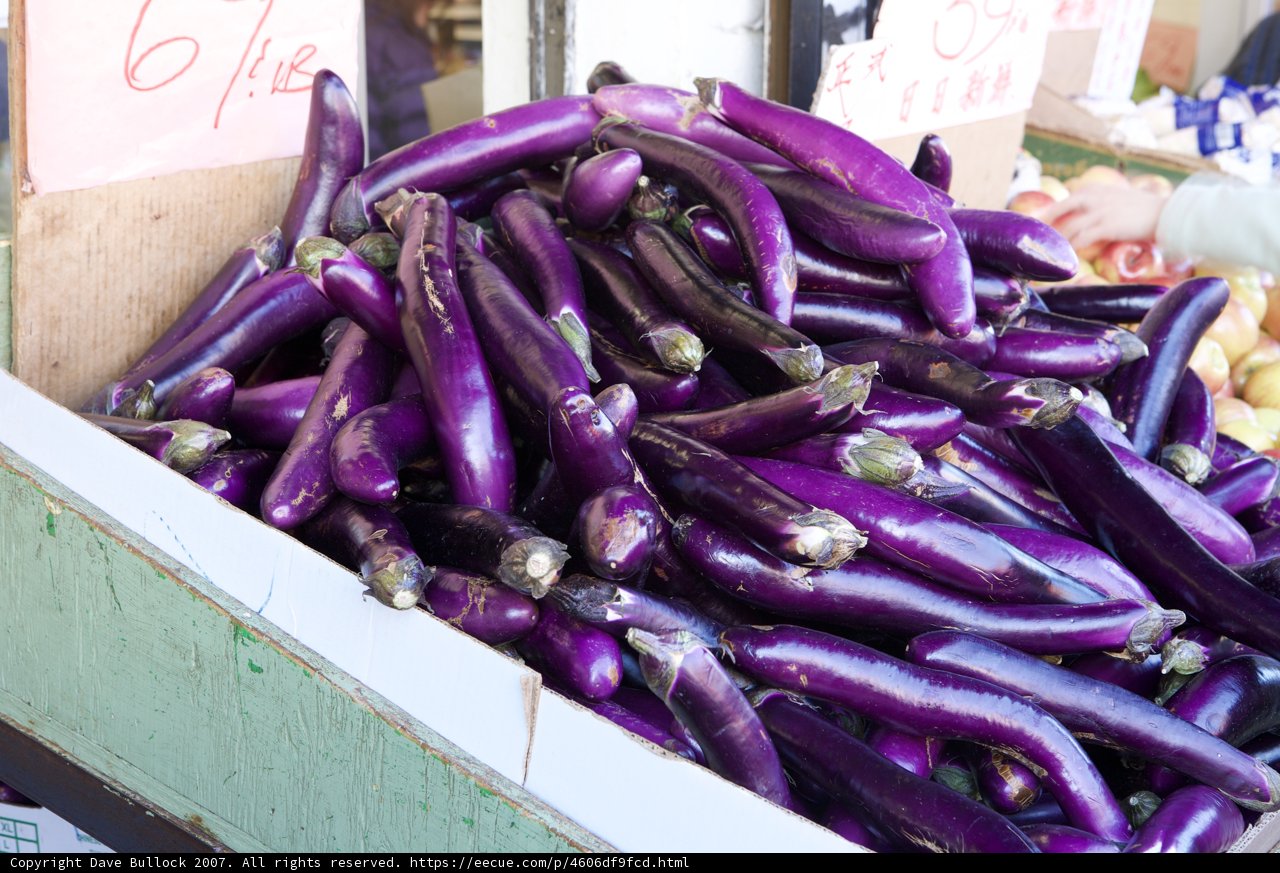Purple Abundance