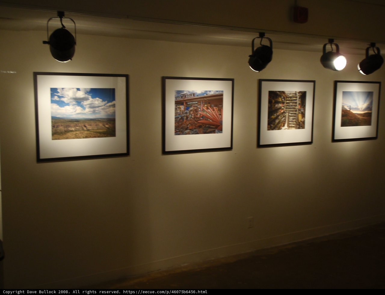 Desert Explorers: A Photographic Journey